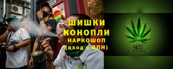 ПСИЛОЦИБИНОВЫЕ ГРИБЫ Лиски