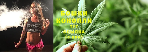 ПСИЛОЦИБИНОВЫЕ ГРИБЫ Лиски