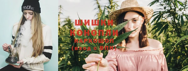 ПСИЛОЦИБИНОВЫЕ ГРИБЫ Лиски