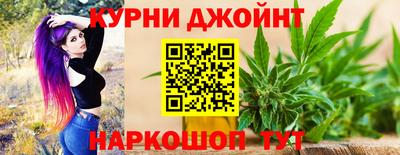 мет Кингисепп