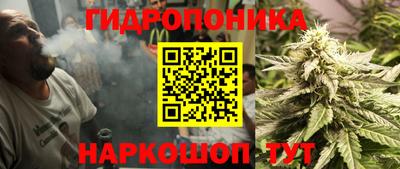мет Кингисепп