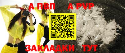 мет Кингисепп