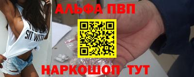 мет Кингисепп