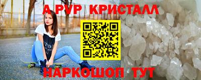мет Кингисепп